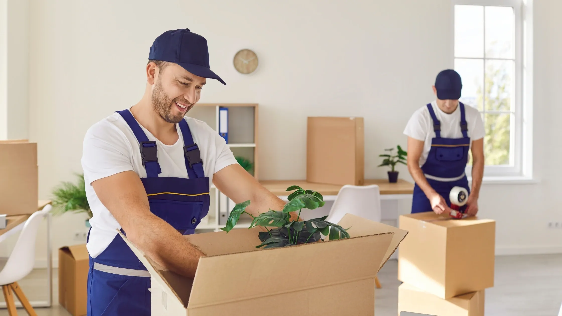 International Moving Services in Amarpur 